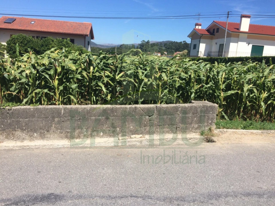 Terreno para Venda em Venade e Azevedo Foto 4