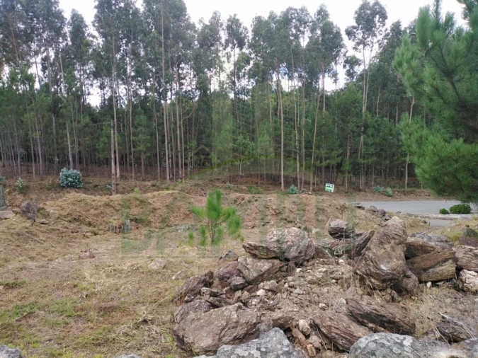 Terreno para Venda em Sopo Foto 6