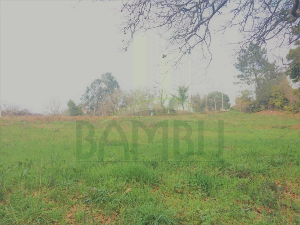 Terreno para Venda em Seixas Foto 3