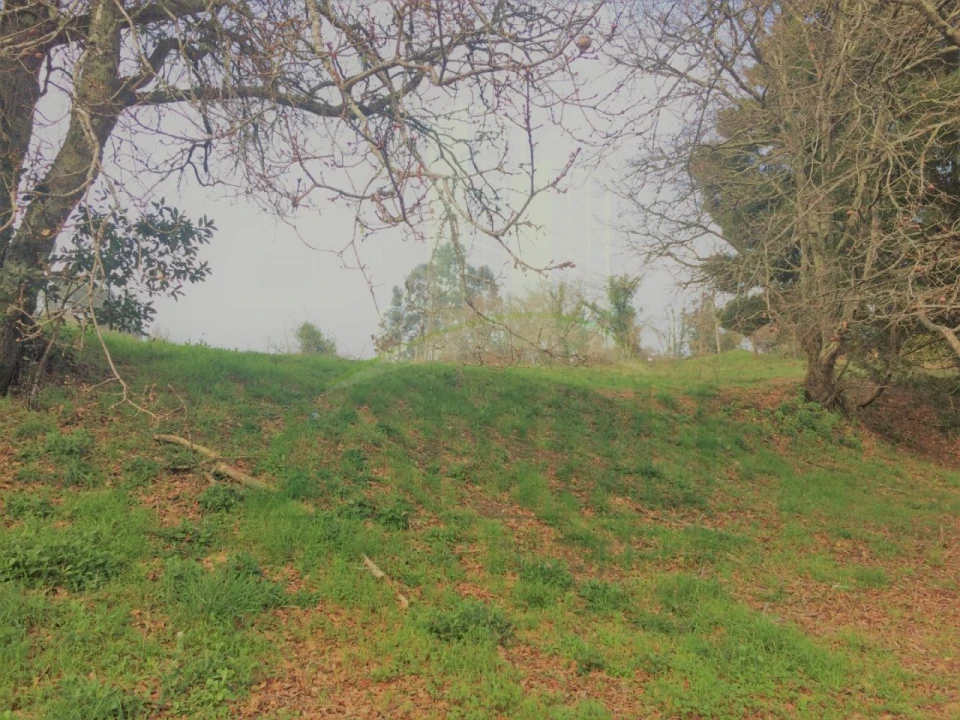Terreno para Venda em Seixas Foto 2