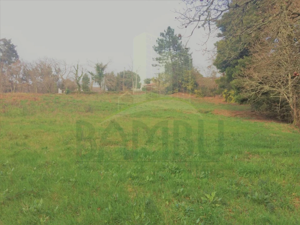 Terreno para Venda em Seixas Foto 1