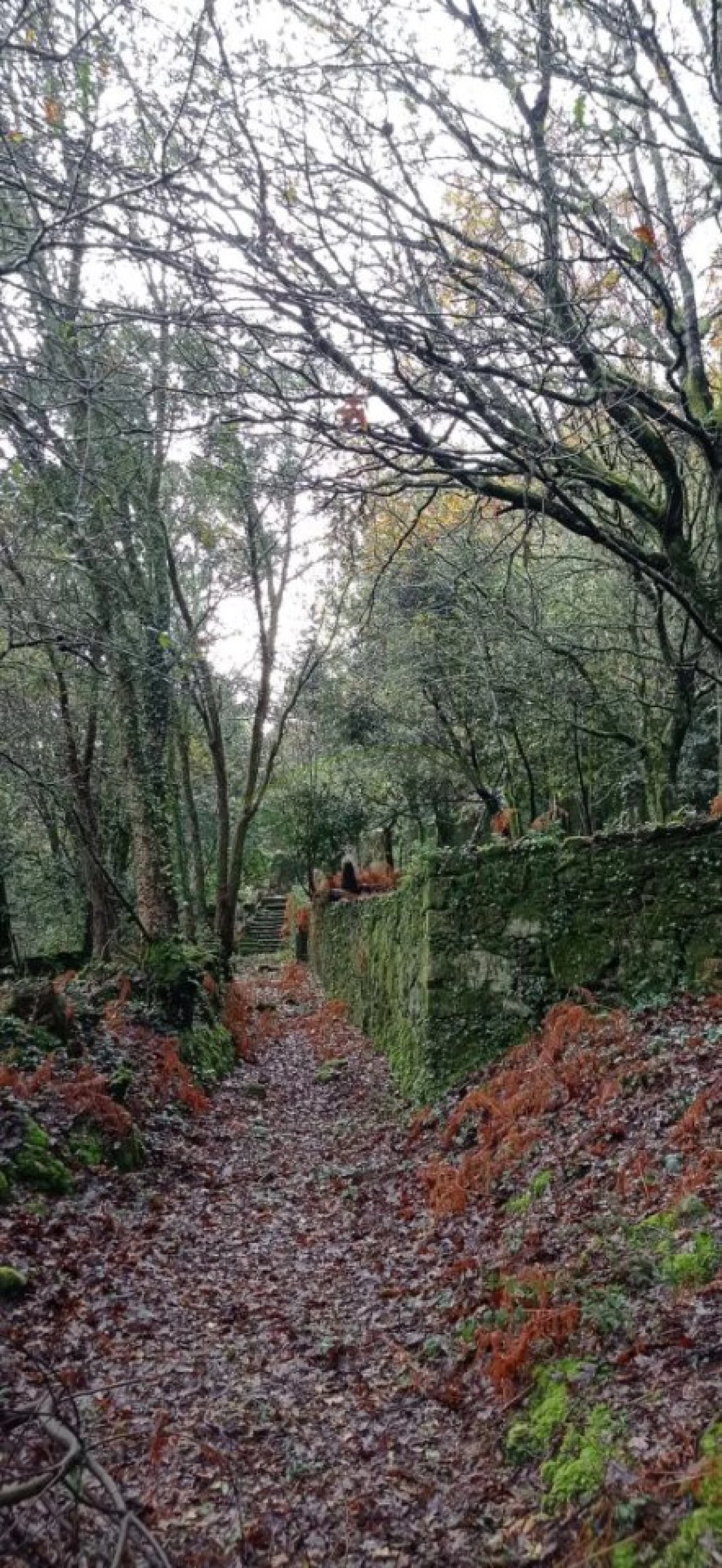 Terreno para Venda em Vilar de Mouros Foto 13