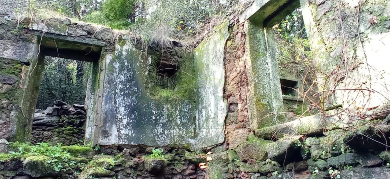 Terreno para Venda em Vilar de Mouros Foto 14