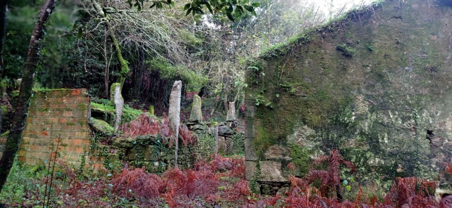 Terreno para Venda em Vilar de Mouros Foto 21
