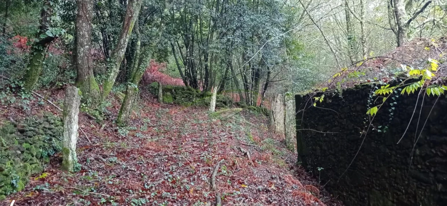 Terreno para Venda em Vilar de Mouros Foto 25
