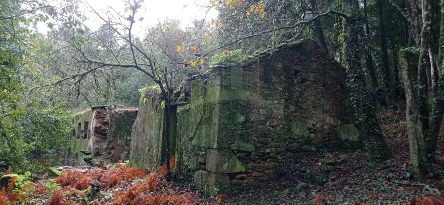 Terreno para Venda em Vilar de Mouros Foto 28