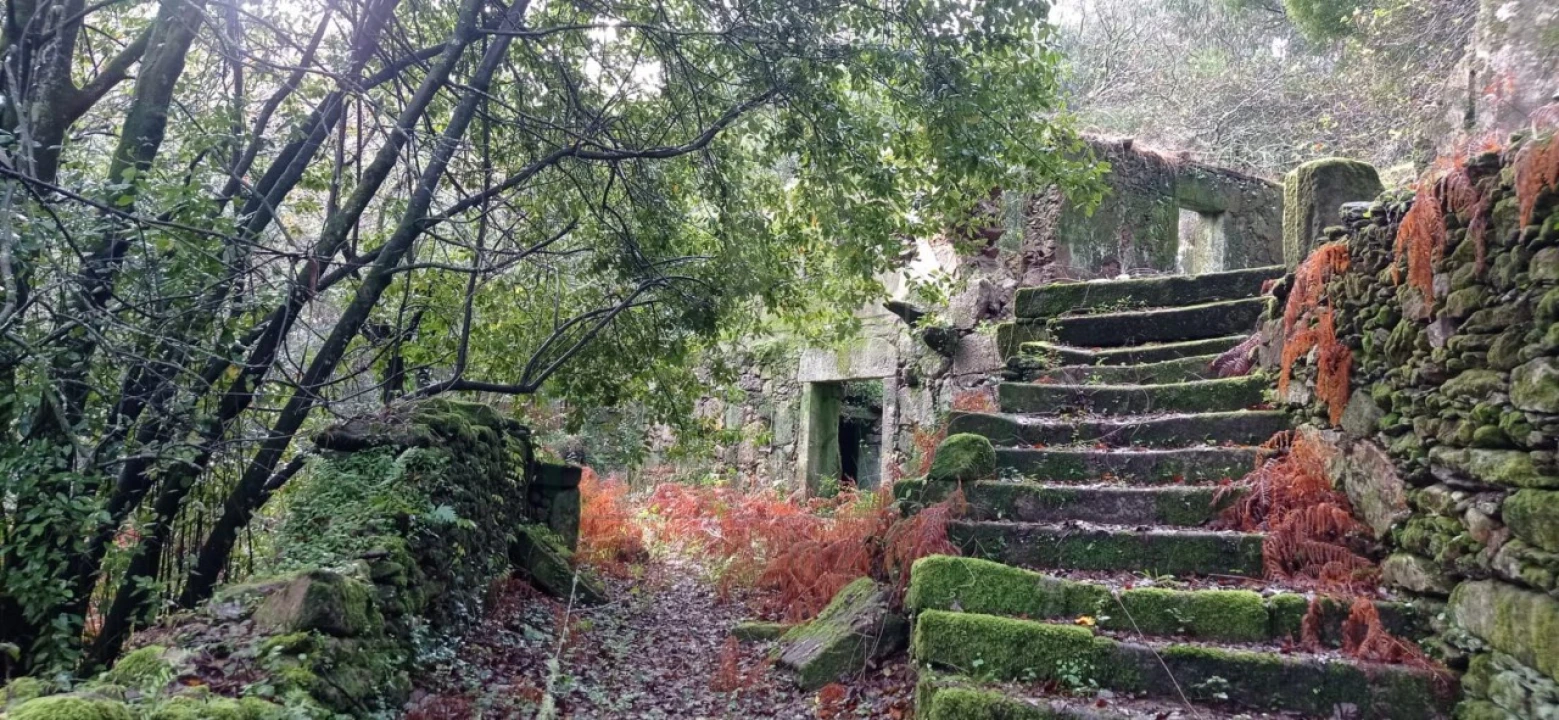 Terreno para Venda em Vilar de Mouros Foto 30