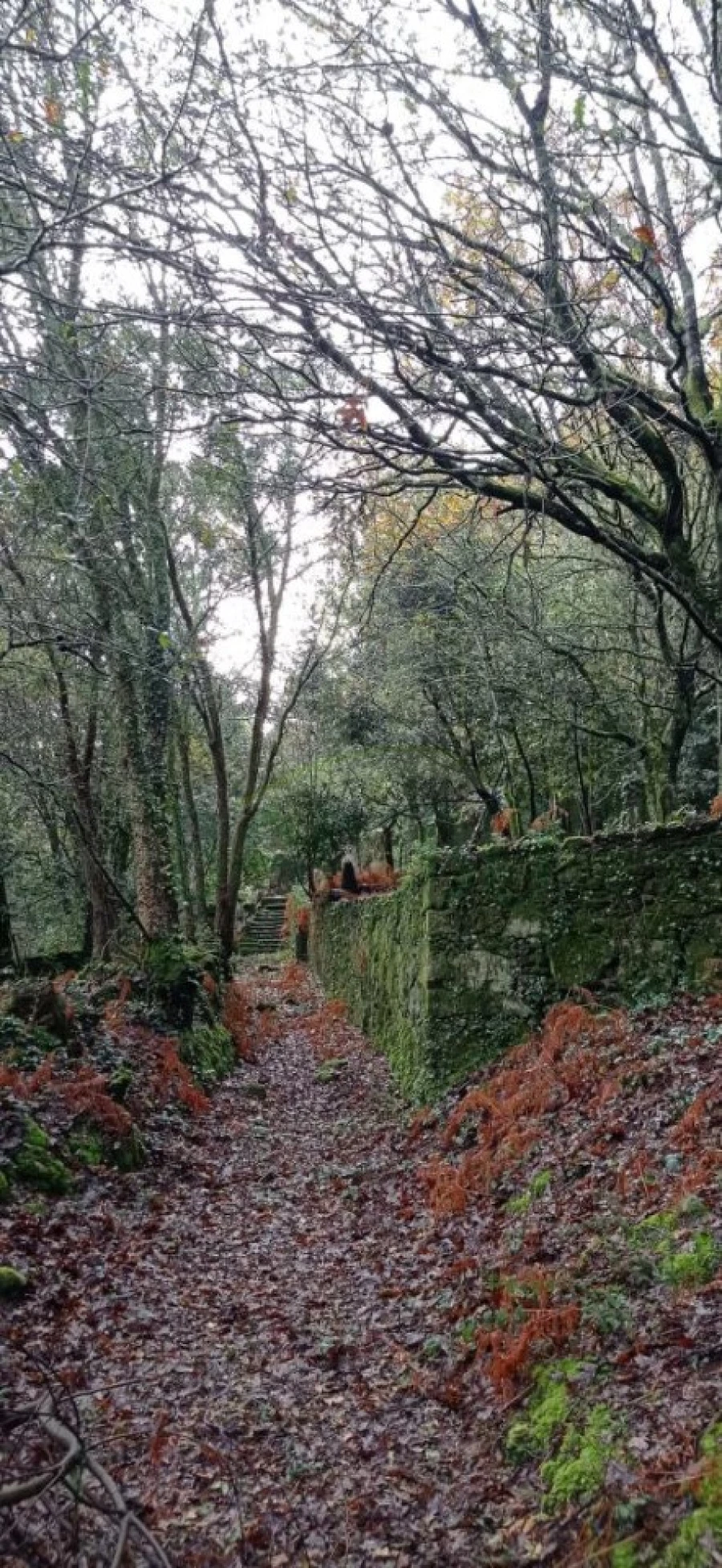 Terreno para Venda em Vilar de Mouros Foto 13