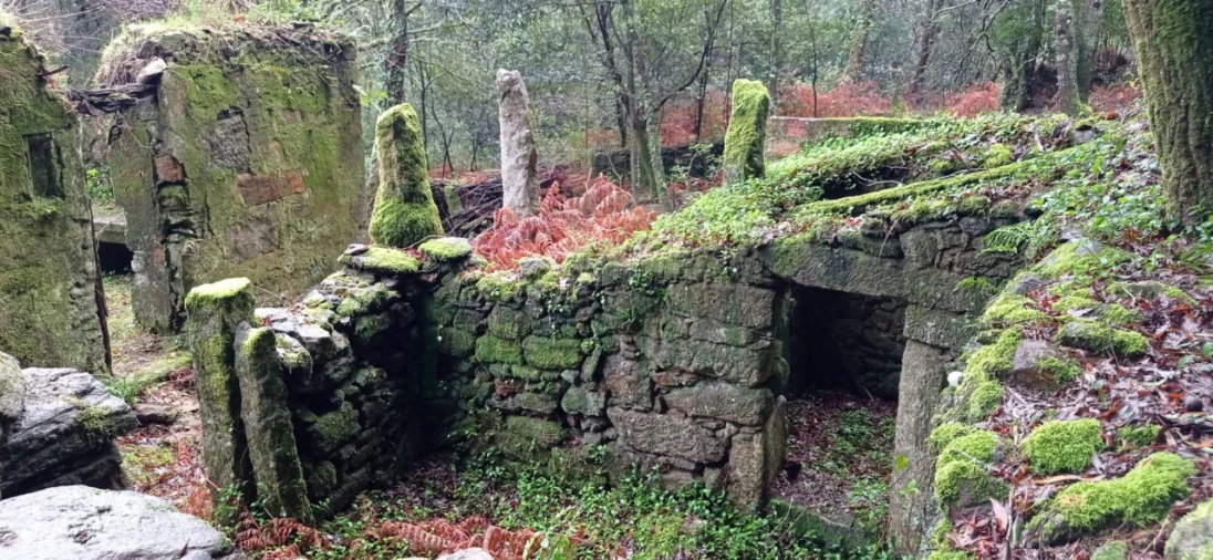 Terreno para Venda em Vilar de Mouros Foto 1