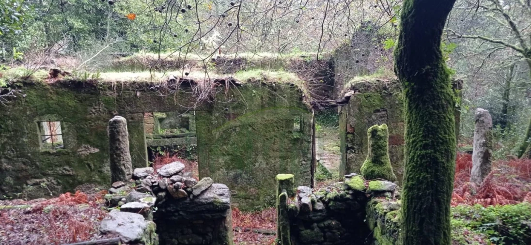 Terreno para Venda em Vilar de Mouros Foto 24