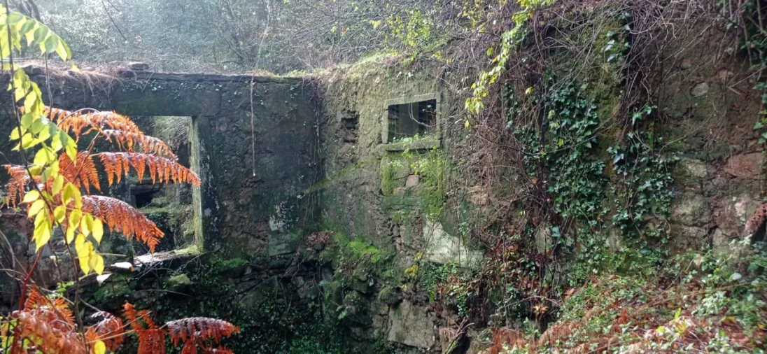 Terreno para Venda em Vilar de Mouros Foto 29