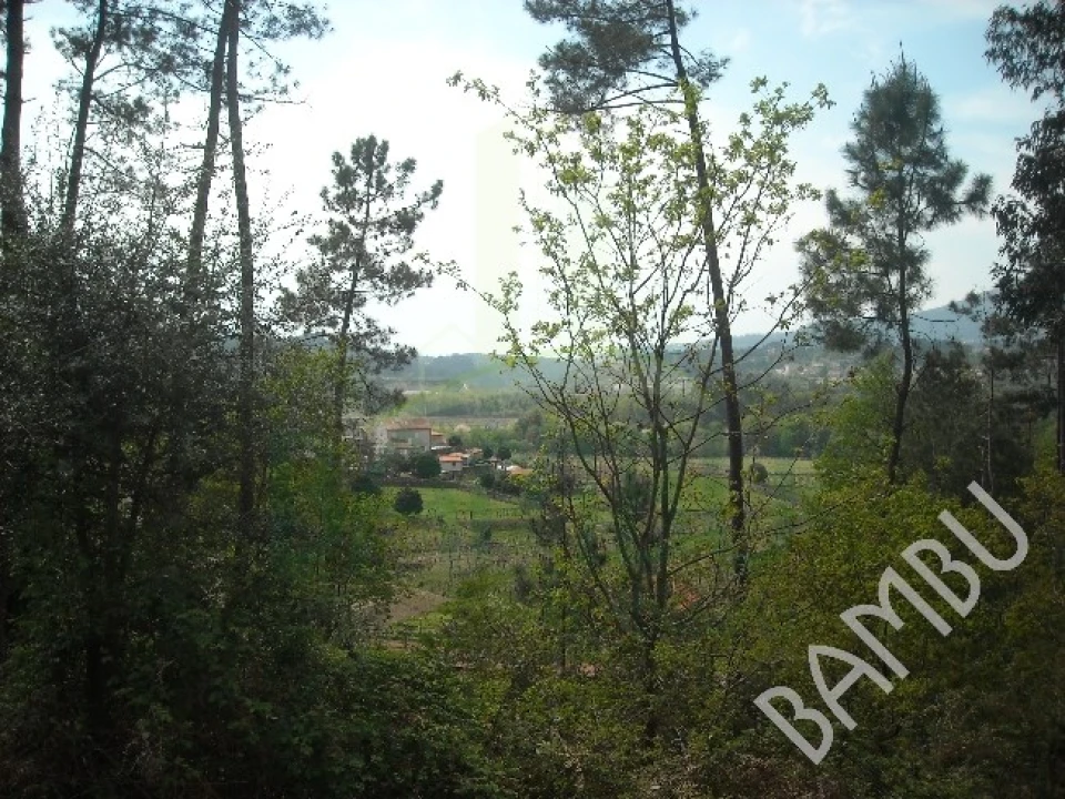 Terreno para Venda em Prado e Remoães Foto 1