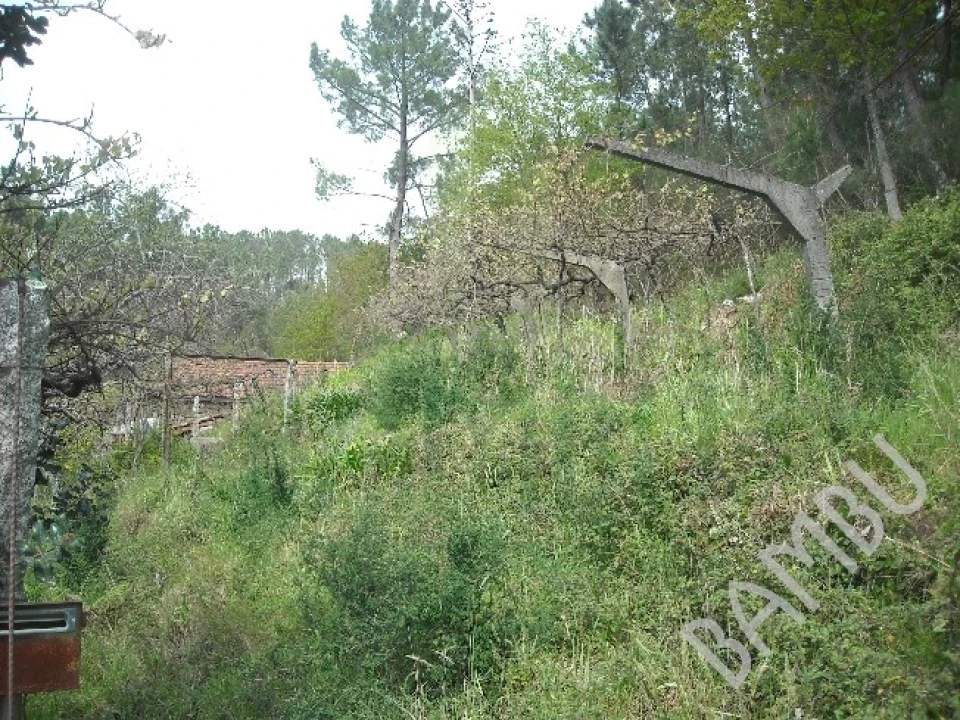 Terreno para Venda em Prado e Remoães Foto 2