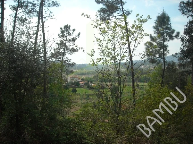 Terreno para Venda em Prado e Remoães Foto 1