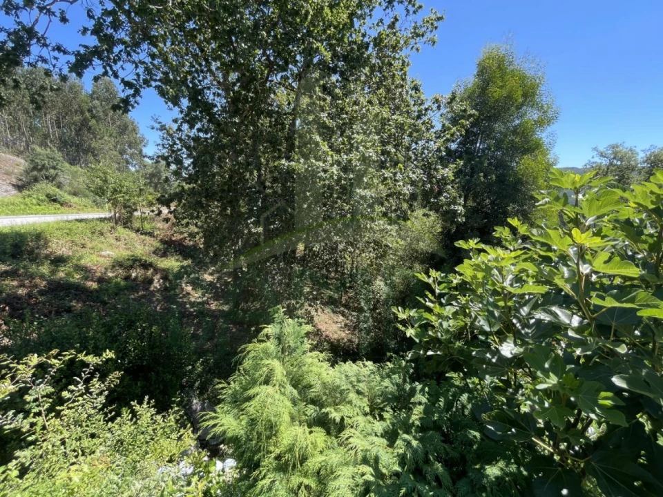 Terreno para Venda em Venade e Azevedo Foto 8