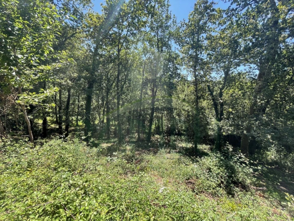 Terreno para Venda em Venade e Azevedo Foto 15