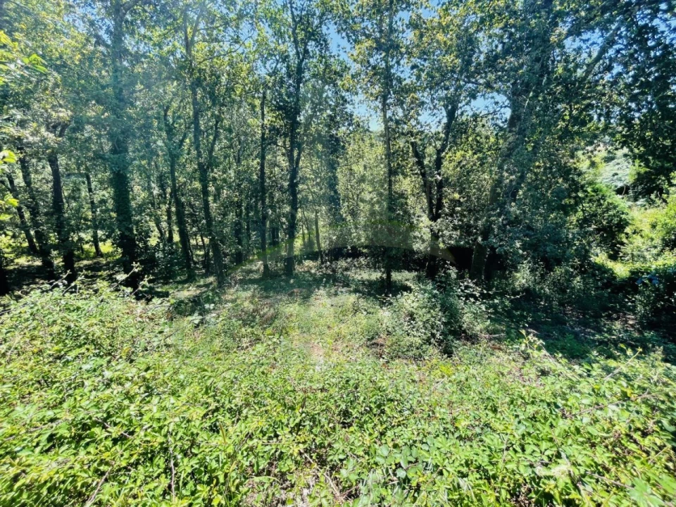 Terreno para Venda em Venade e Azevedo Foto 16