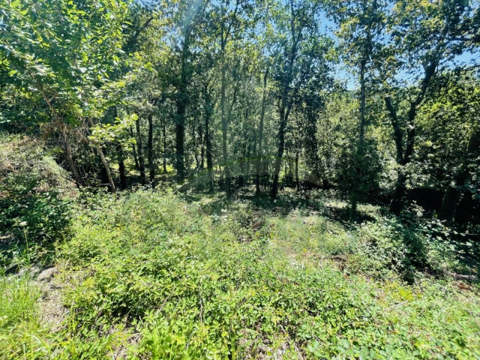 Terreno para Venda em Venade e Azevedo Foto 20