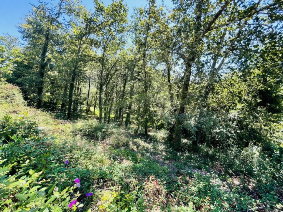 Terreno para Venda em Venade e Azevedo Foto 19