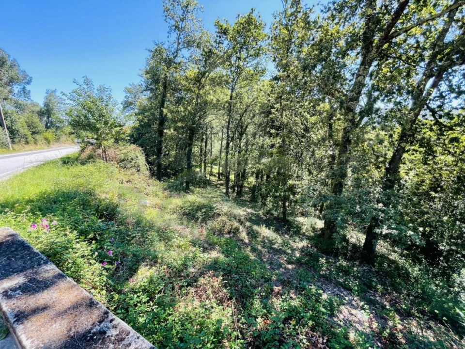 Terreno para Venda em Venade e Azevedo Foto 24