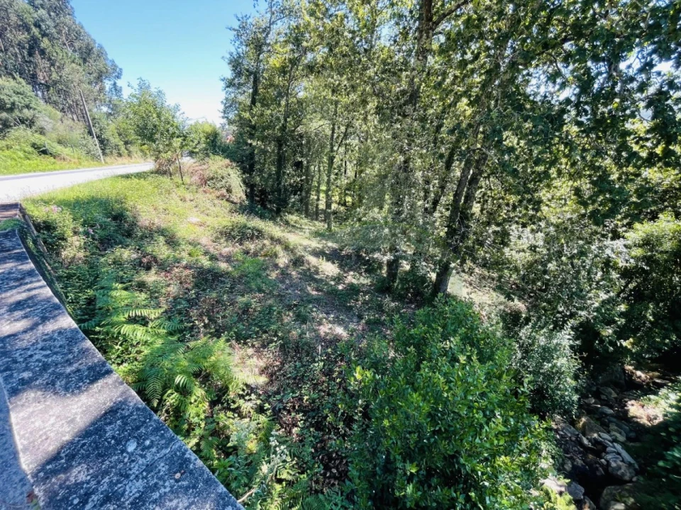 Terreno para Venda em Venade e Azevedo Foto 25