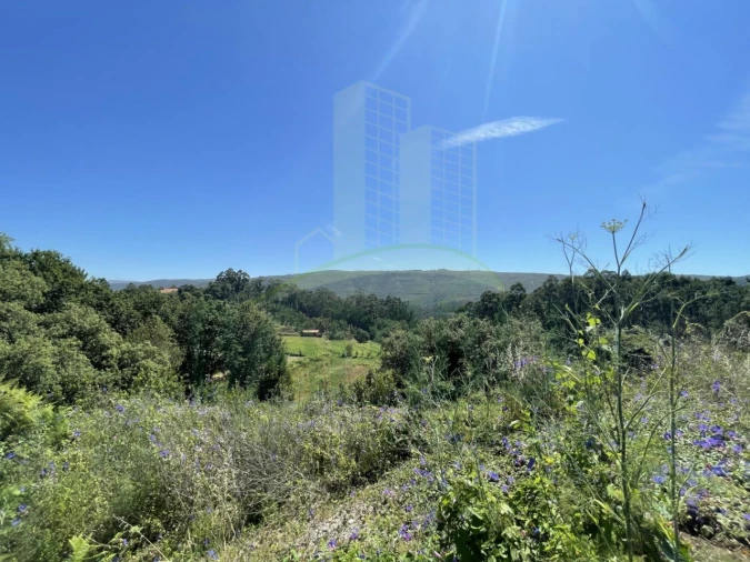 Terreno para Venda em Venade e Azevedo Foto 4