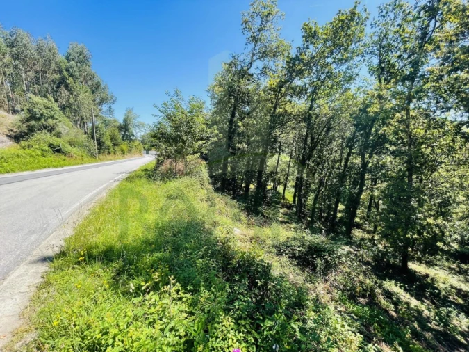 Terreno para Venda em Venade e Azevedo Foto 6