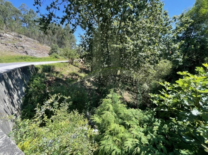 Terreno para Venda em Venade e Azevedo Foto 10