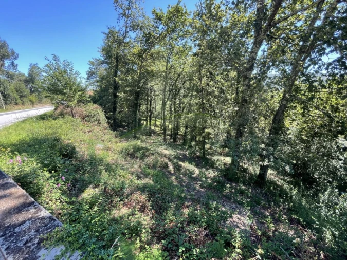 Terreno para Venda em Venade e Azevedo Foto 1