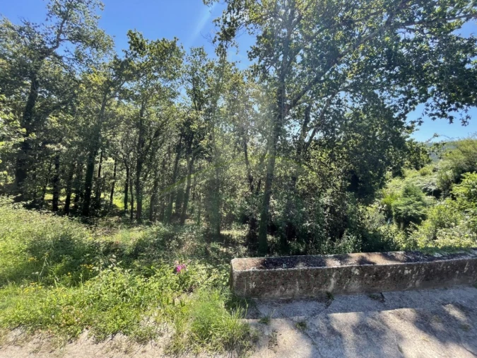 Terreno para Venda em Venade e Azevedo Foto 14