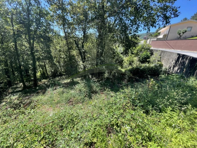 Terreno para Venda em Venade e Azevedo Foto 17