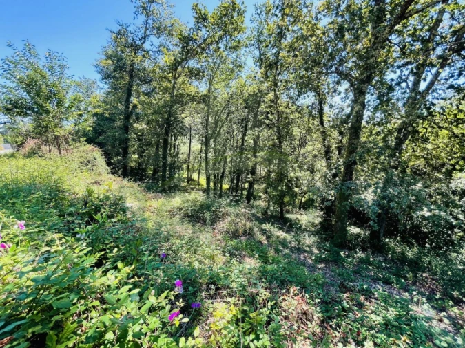 Terreno para Venda em Venade e Azevedo Foto 18