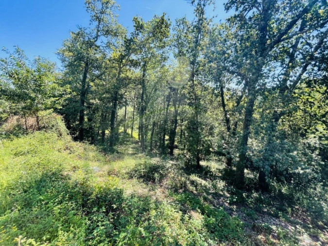 Terreno para Venda em Venade e Azevedo Foto 21
