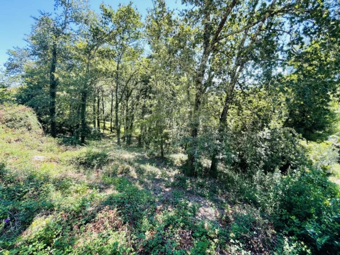 Terreno para Venda em Venade e Azevedo Foto 23