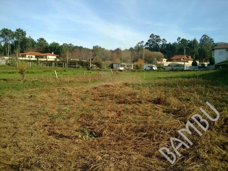 Terreno para Venda em Reboreda e Nogueira Foto 3