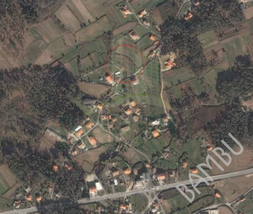 Terreno para Venda em Reboreda e Nogueira Foto 5