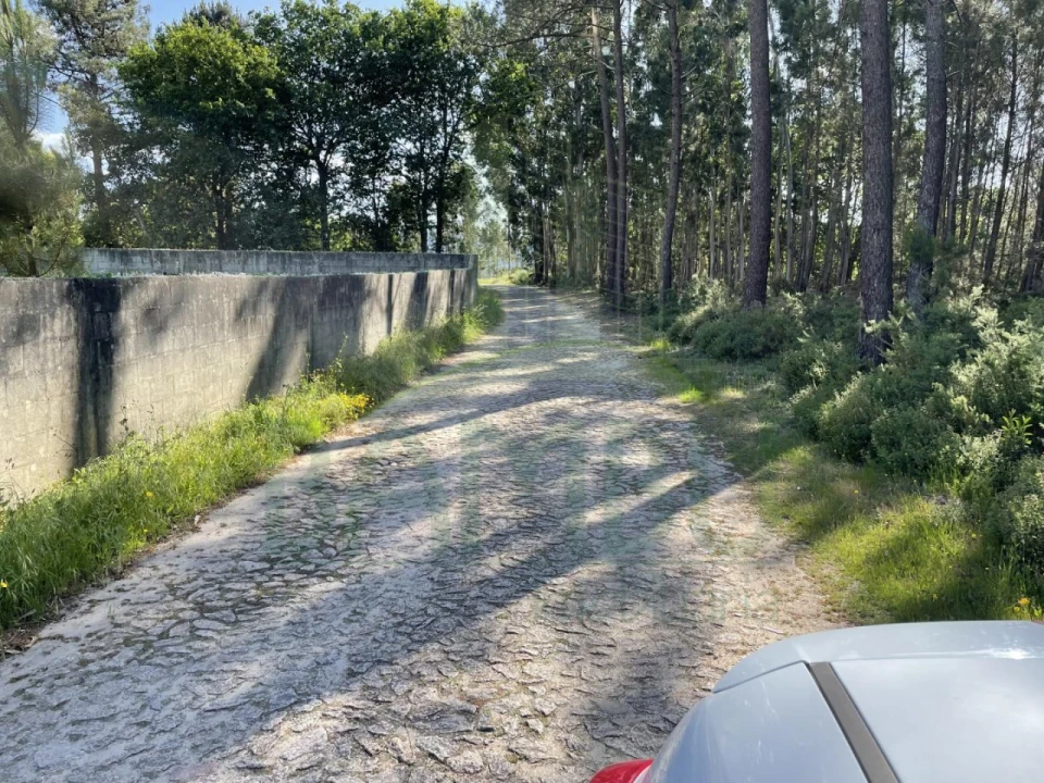 Terreno para Venda em Cerdal Foto 9