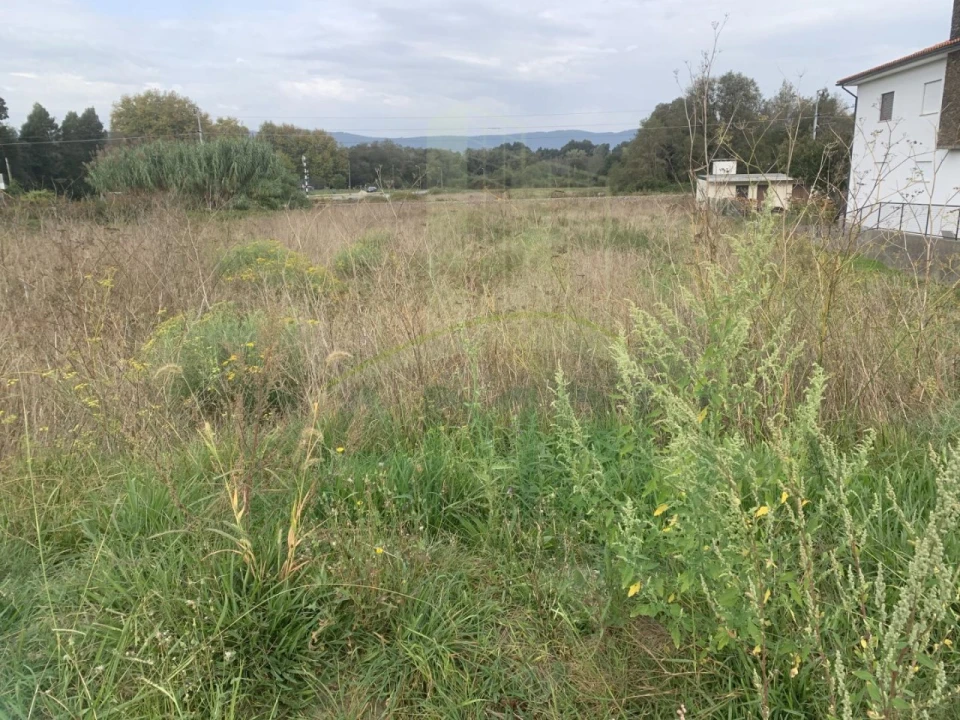 Terreno para Venda em Gondarem Foto 4