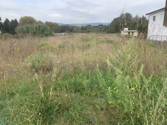 Terreno para Venda em Gondarem Foto 4