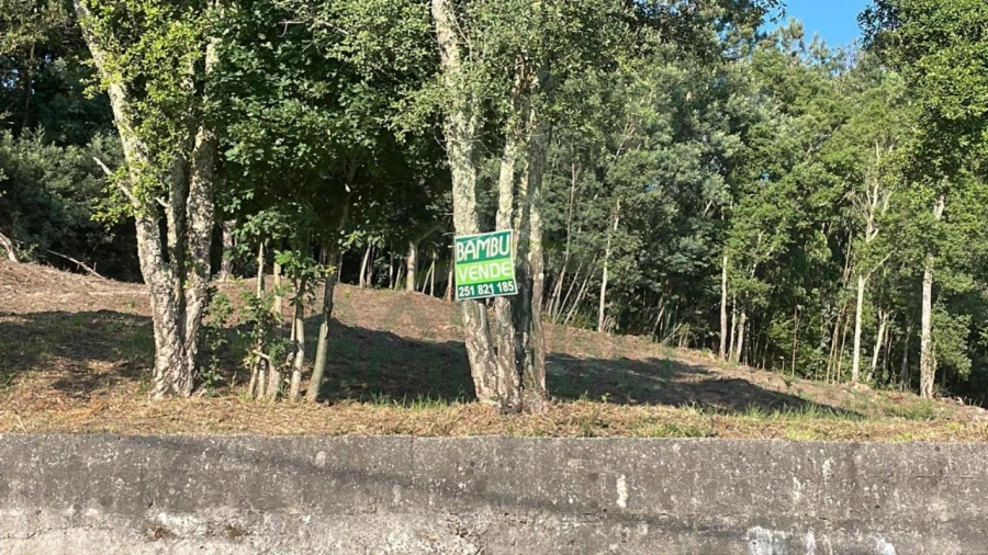 Terreno para Venda em Gandra e Taião Foto 1