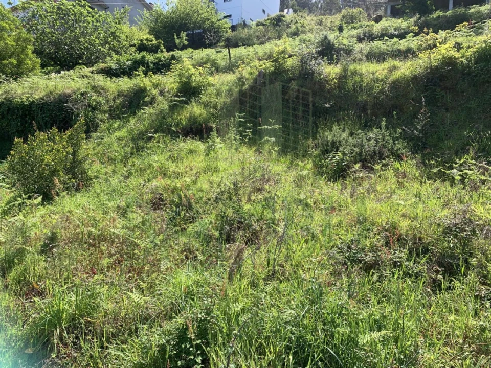 Terreno para Venda em Seixas Foto 5