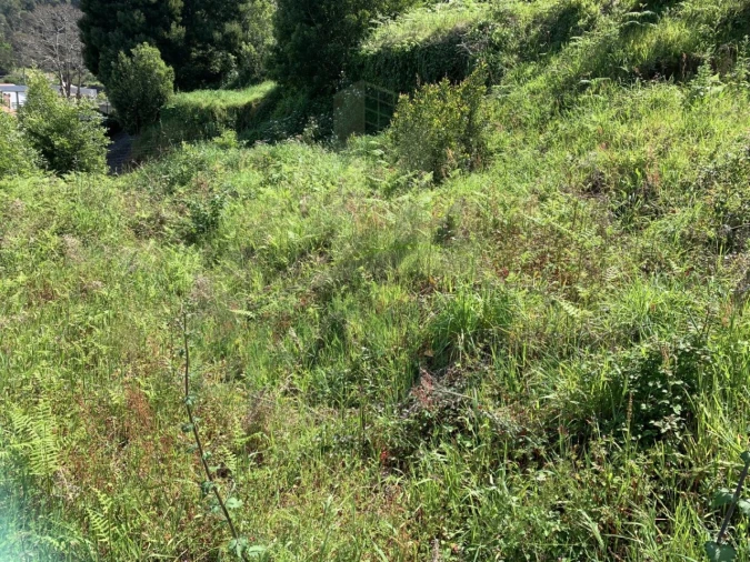 Terreno para Venda em Seixas Foto 3