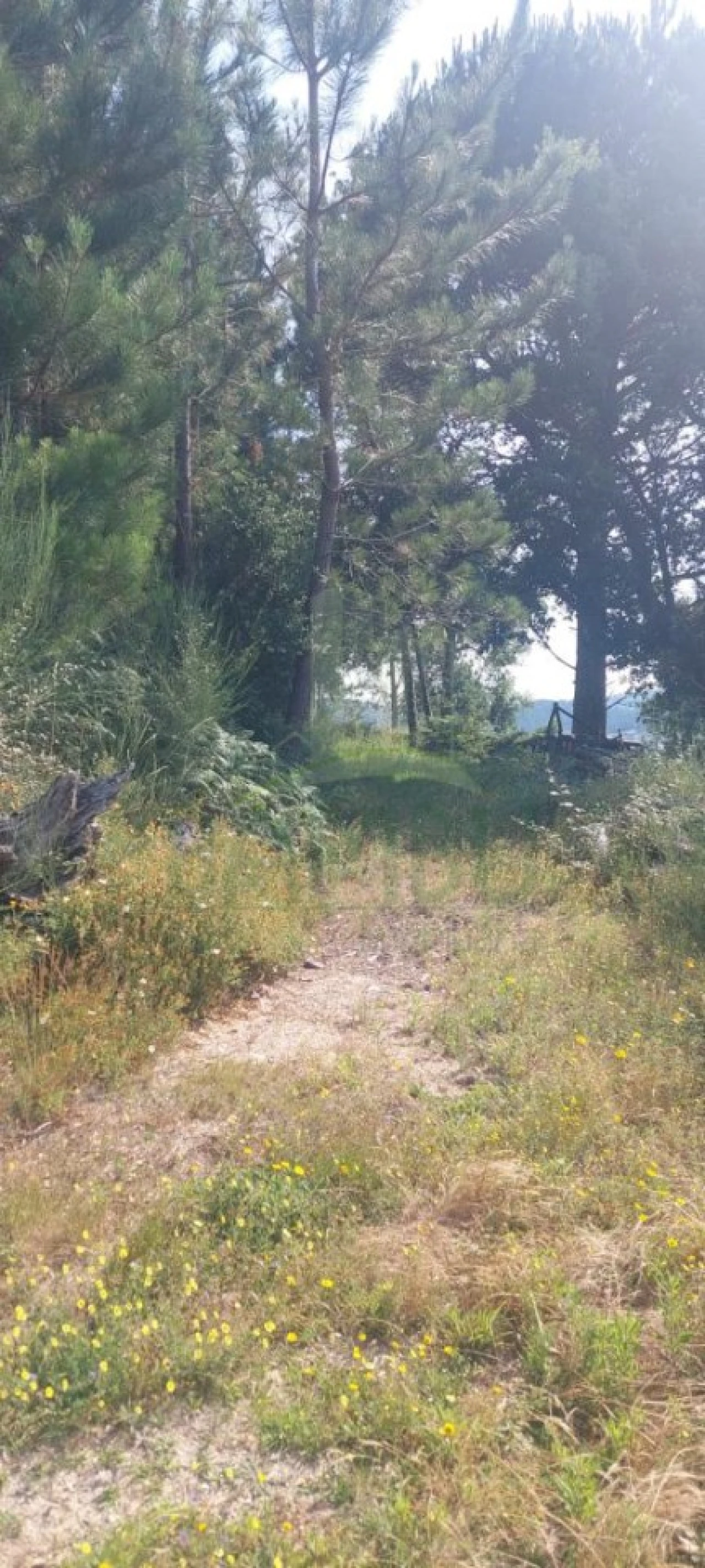 Terreno para Venda em Gondomil e Sanfins Foto 2