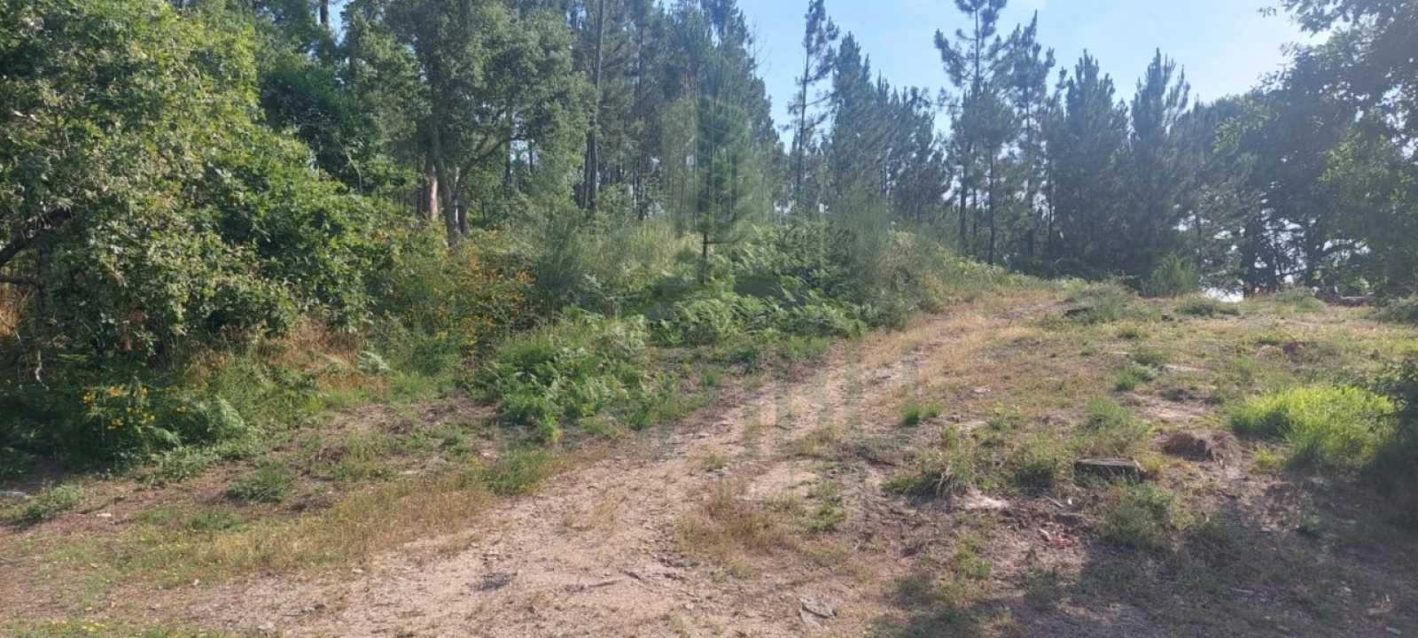 Terreno para Venda em Gondomil e Sanfins Foto 7