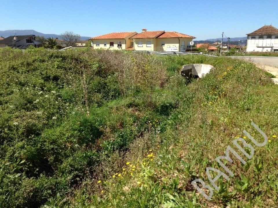Terreno para Venda em Gandra e Taião Foto 2