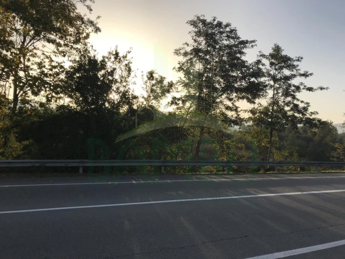 Terreno para Venda em Gandra e Taião Foto 2