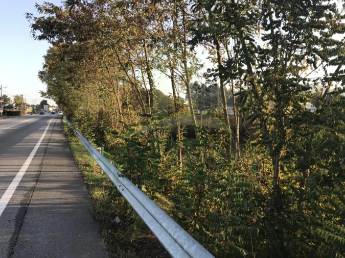 Terreno para Venda em Gandra e Taião Foto 7