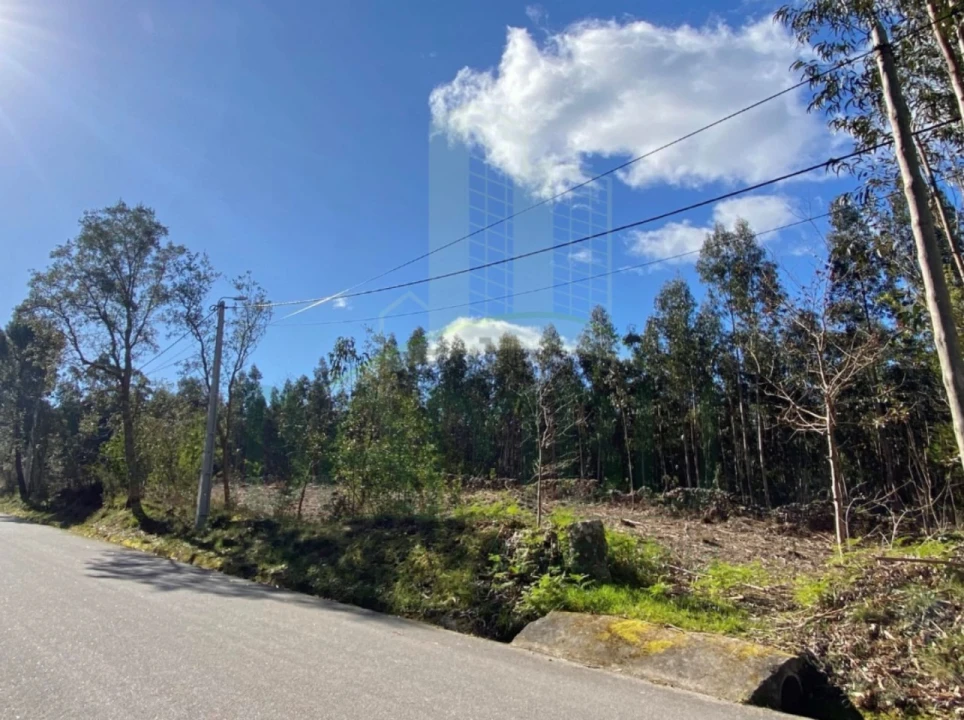 Terreno para Venda em Caminha (Matriz) e Vilarelho Foto 6