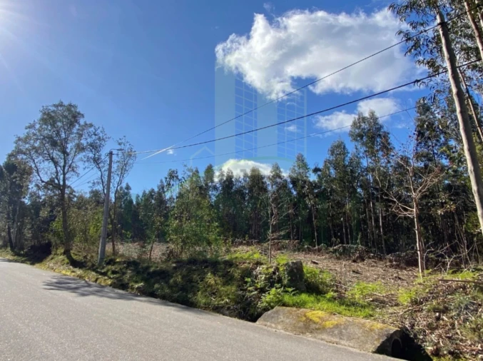 Terreno para Venda em Caminha (Matriz) e Vilarelho Foto 6