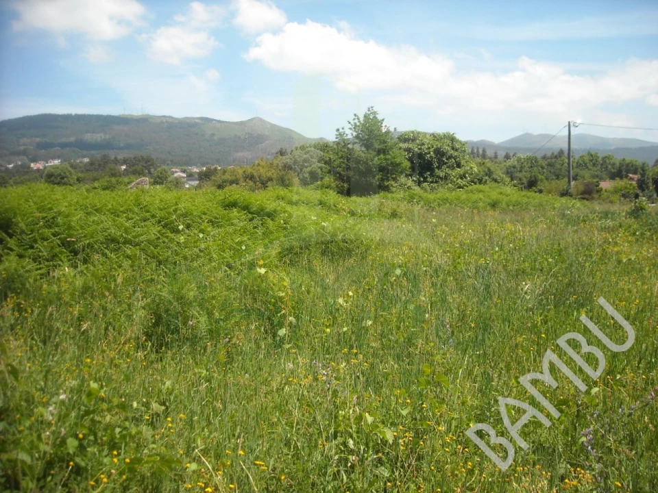 Terreno para Venda em Valença, Cristelo Covo e Arão Foto 4